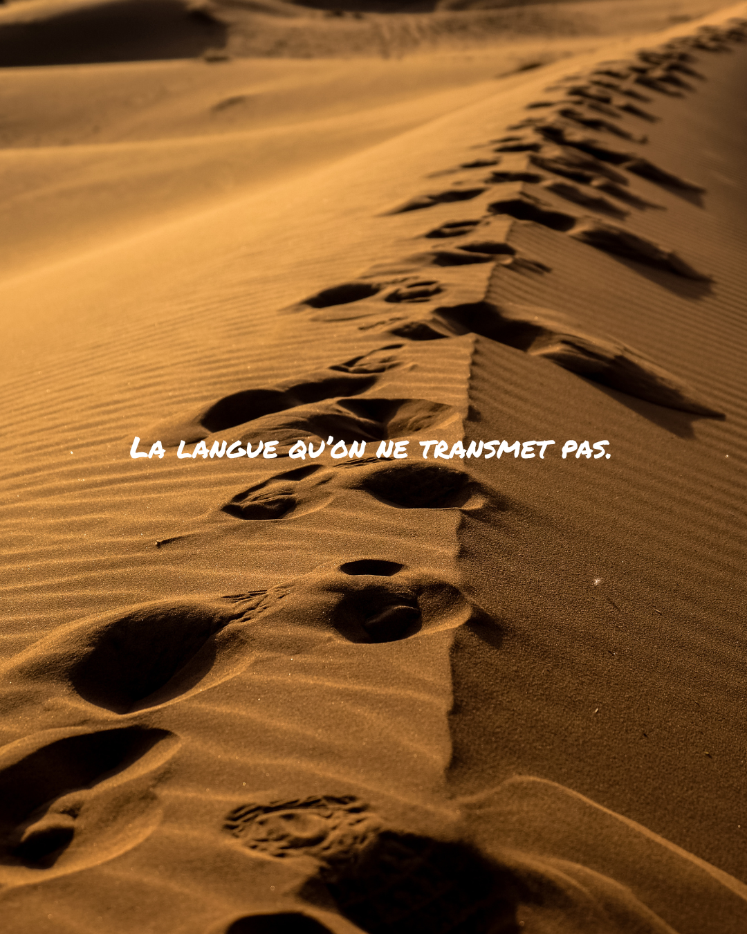 La langue qu'on ne transmet pas