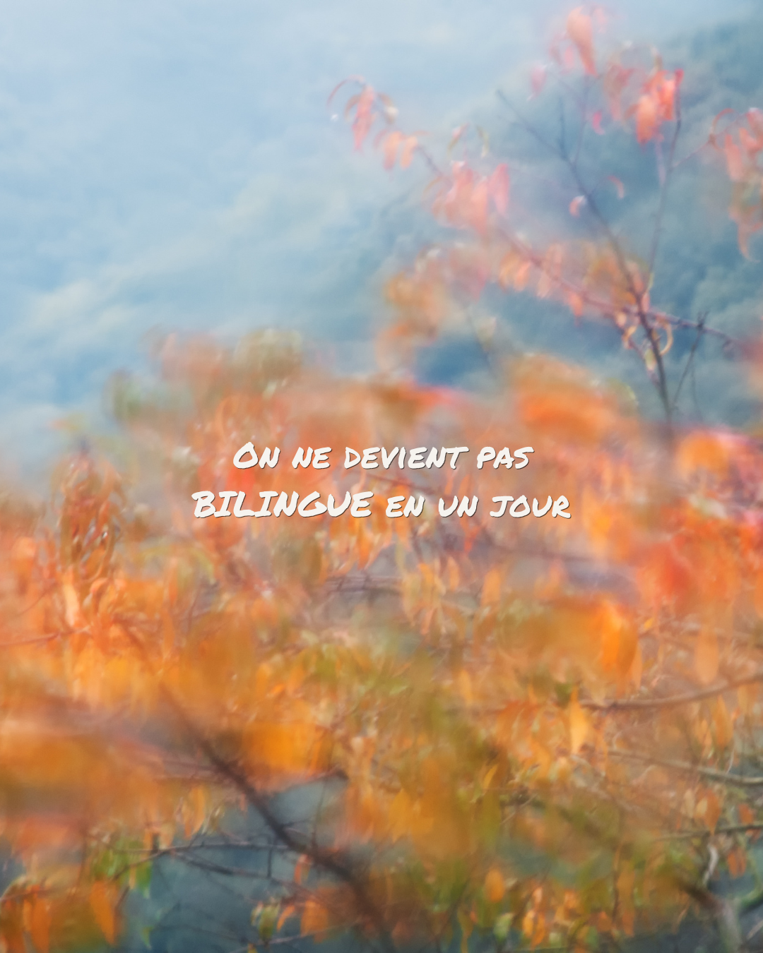 On ne devient pas bilingue en un jour