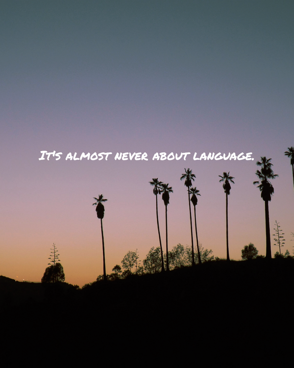 Why Learning a Language as an Adult Is Both Essential and Entirely Possible